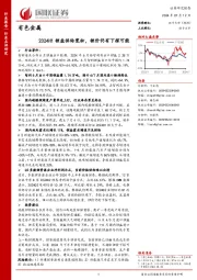 有色金属：2024H1锂盐供给宽松，锂价仍有下探可能