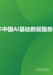 2024年中国AI基础数据服务研究报告