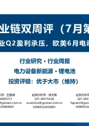 锂电产业链双周评(7月第1期):部分材料企业Q2盈利承压,欧美6月电动车需求较弱