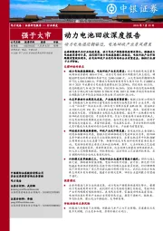 动力电池回收深度报告：动力电池退役潮临近，电池回收产业东风将至