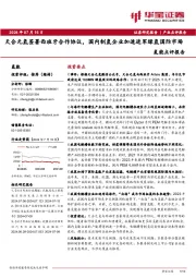 氢能点评报告：天合元氢签署西班牙合作协议，国内制氢企业加速进军绿氢国际市场