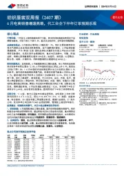 纺织服装双周报(2407期):6月电商销售增速亮眼,代工台企下半年订单预期乐观