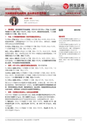 摩托车行业系列点评六：大排量销量历史新高 自主摩企百花齐放