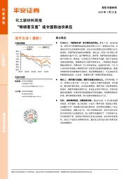 化工新材料行业周报：“特朗普交易”或令国际油价承压