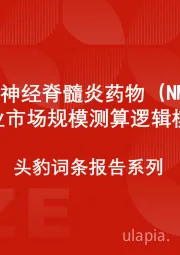 中国视神经脊髓炎药物（NMOSD）行业市场规模测算逻辑模型 头豹词条报告系列