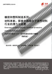 橡胶和塑料制造系列：材料革新，探索中国高分子改性材料行业的潜力与前景（精简版）