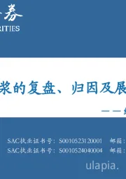 纸浆行业深度报告：纸浆的复盘、归因及展望