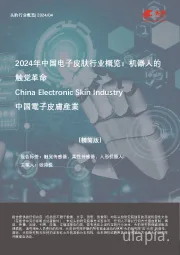 2024年中国电子皮肤行业概览：机器人的触觉革命（摘要版）