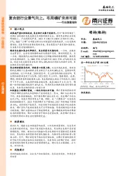 基础化工行业深度报告:复合肥行业景气向上,布局磷矿未来可期