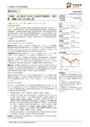 基础化工行业周报:工信部,全力促进下半年工业经济平稳增长,维生素、磷酸二铵FOB价格上涨