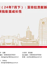 新能源产业趋势跟踪(24年7月下):亚非拉贡献新能源增量,深远海海风获批彰显成长性