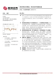 汽车行业简评报告：政治局会议推进，低空经济有望加速