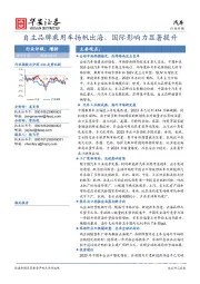 汽车行业专题：自主品牌乘用车扬帆出海，国际影响力显著提升
