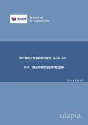 地产链化工品追踪系列报告（2024-07）：PVA、减水剂等月均价同环比回升