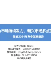 储能2024年年中策略报告:主力市场持续发力,新兴市场多点开花