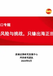 汽车行业出口专题：不畏风险与挑战，只缘出海正当时