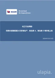 化工行业周报：巴斯夫德国装置火灾影响生产，维生素A、维生素E等价格上扬