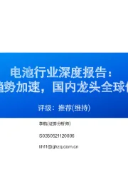电池行业深度报告:2025年出海趋势加速,国内龙头全球份额有望提振