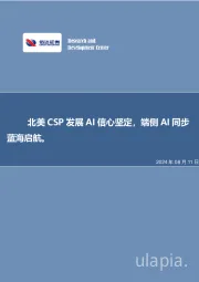 北美CSP发展AI信心坚定,端侧AI同步蓝海启航。