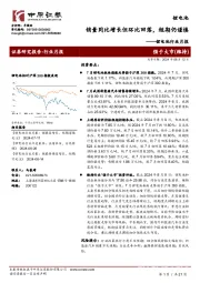 锂电池行业月报：销量同比增长但环比回落，短期仍谨慎