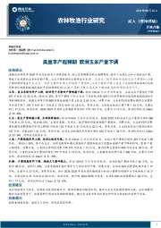 农林牧渔行业研究：美豆丰产超预期 欧洲玉米产量下调