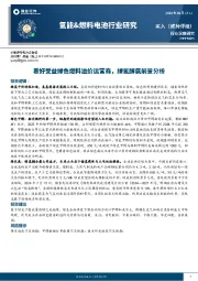 氢能&燃料电池行业研究：看好受益绿色燃料溢价运营商，绿氢醇氨前景分析