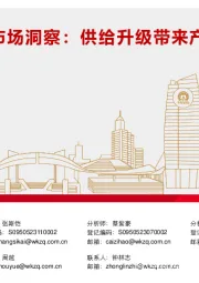 新能源半年度市场洞察：供给升级带来产业变革