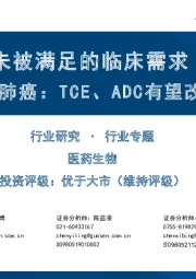 医药生物行业寻找未被满足的临床需求（2）：小细胞肺癌，TCE、ADC有望改写治疗范式