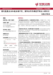 氢能点评报告：国内氢能企业加速出海中东，国际合作为绿氢市场注入新活力