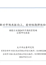 储能行业2024年中期投资策略:中美欧+新兴市场共振向上,看好短期弹性和长期空间
