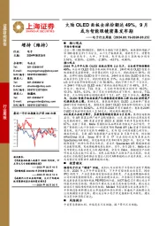 电子行业周报:大陆OLED面板全球份额达49%,9月或为智能眼镜密集发布期