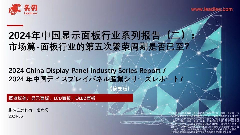 2024年中国显示面板行业系列报告（二）：市场篇-面板行业的第五次繁荣周期是否已至？