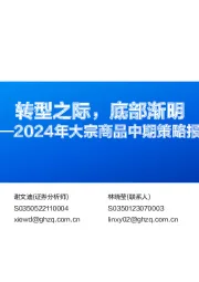 2024年大宗商品中期策略报告：转型之际，底部渐明