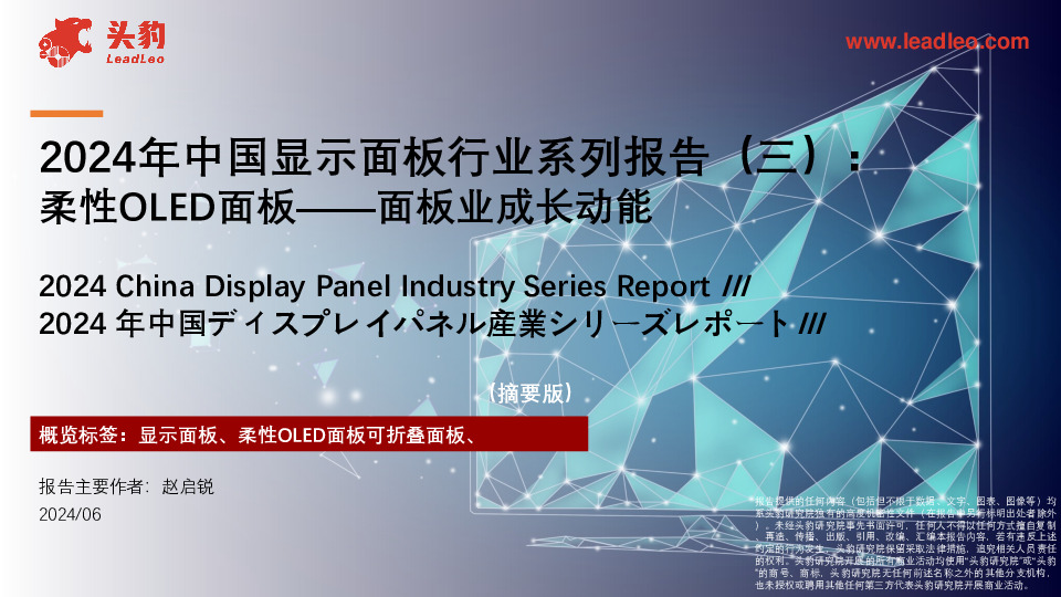 2024年中国显示面板行业系列报告（三）：柔性OLED面板——面板业成长动能（摘要版）