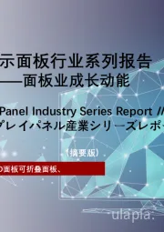 2024年中国显示面板行业系列报告（三）：柔性OLED面板——面板业成长动能（摘要版）
