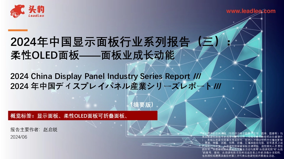 2024年中国显示面板行业系列报告（三）：柔性OLED面板——面板业成长动能（摘要版）