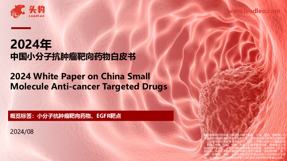 2024年中国小分子抗肿瘤靶向药物白皮书