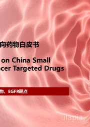 2024年中国小分子抗肿瘤靶向药物白皮书