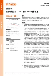 非银行金融行业点评：业务结构优化，24H1新华NBV增长显著