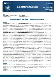 氢能&燃料电池行业研究:海内外绿氢产业发展共振,消纳和经济性是关键