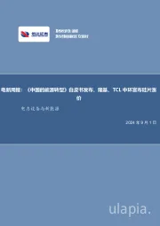 电新周报:《中国的能源转型》白皮书发布,隆基、TCL中环宣布硅片涨价电力设备与新能源