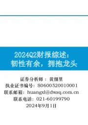 2024Q2财报综述:韧性有余,拥抱龙头