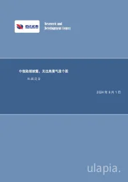 中报陆续披露，关注高景气度个股机械设备