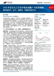 2024年石化化工行业中报总结暨9月投资策略：看好煤层气、油气、磷复肥、民爆的投资方向