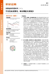银行业消费金融专题系列（一）：于无色处见繁花，细分赛道大浪淘沙