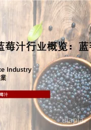 2024年中国蓝莓汁行业概览：蓝莓之醇，果汁之选