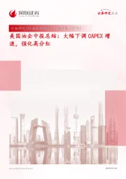 美国油企中报总结：大幅下调CAPEX增速，强化高分红