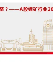 有色金属行业：A股锂矿行业2024年中报梳理分析：锂矿行业拐点将至？