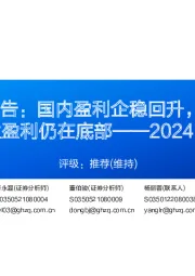 化工行业专题报告:国内盈利企稳回升,产能扩张放缓,欧美多数企业盈利仍在底部——2024H1半年报总结