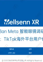 Ray-Ban Meta智能眼镜调研报告系列三：TikTok海外平台用户体验报告